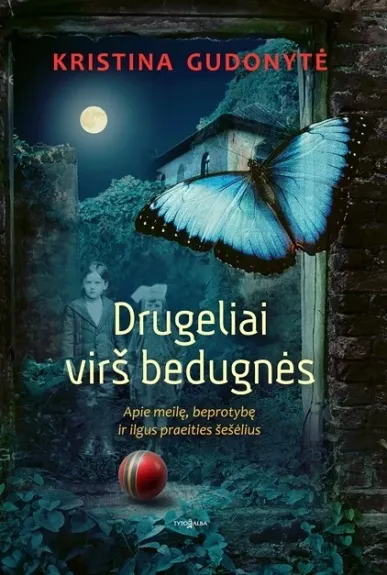 Drugeliai virš bedugnės - Kristina Gudonytė, knyga