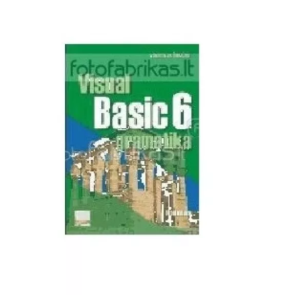 Visual Basic 6 gramatika - Vladimiras Šulcas, knyga