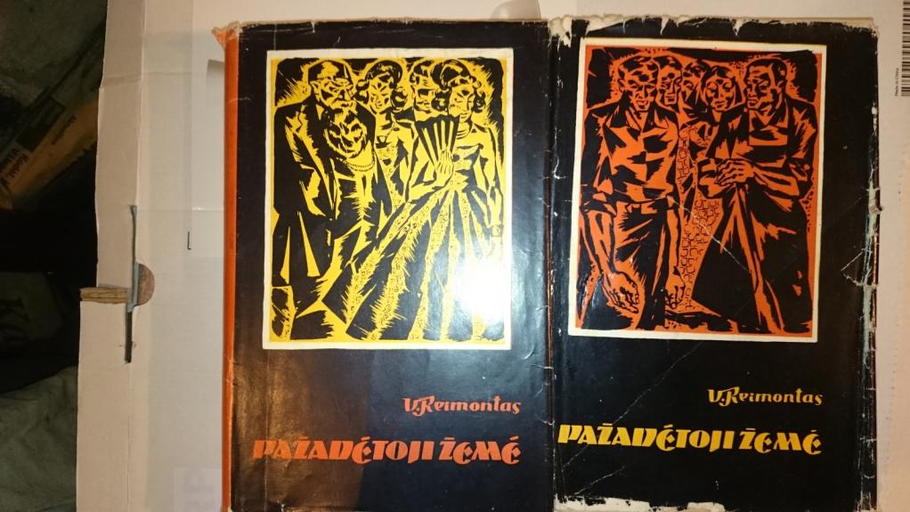 Pažadėtoji žemė (2 tomai) - V. Reimontas, knyga