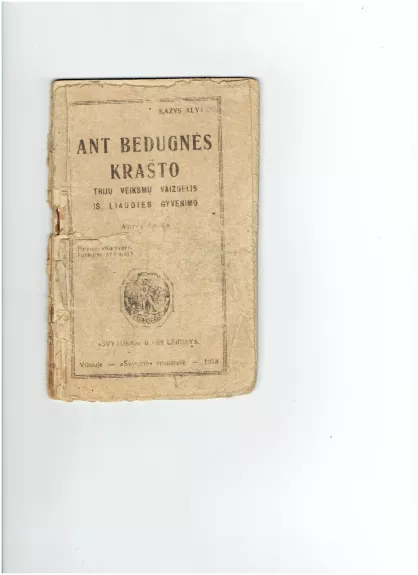 Ant bedugnės krašto