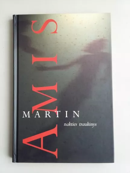 Nakties traukinys - Martin Amis, knyga
