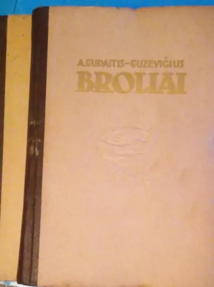 Broliai (1 knyga) - A. Gudaitis-Guzevičius, knyga
