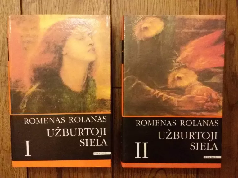 Užburtoji siela (2 dalys) - Romenas Rolanas, knyga