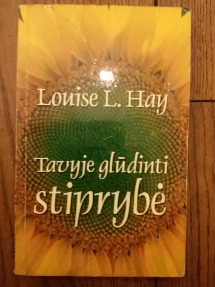 Tavyje glūdinti stiprybė - Louise L. Hay, knyga