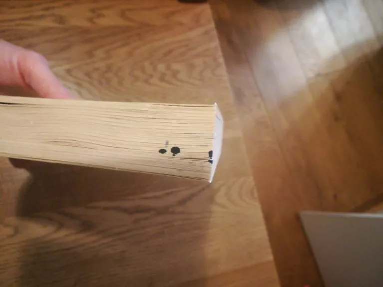 Pinigų medis - Julita Varanauskienė, knyga 1