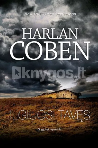 Ilgiuosi tavęs - Harlan Coben, knyga