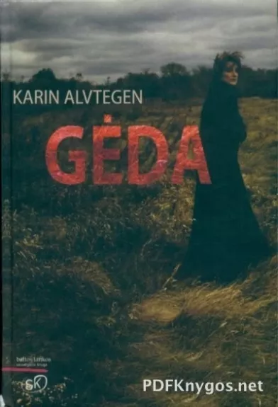 Gėda - Karin Alvtegen, knyga