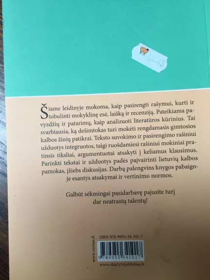 Esė rašymo pratybos VIII-X klasei - Dalia Drąsutavičienė, knyga 1