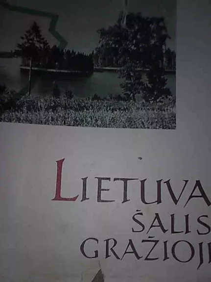Lietuva šalis gražioji - P. Pukys, knyga