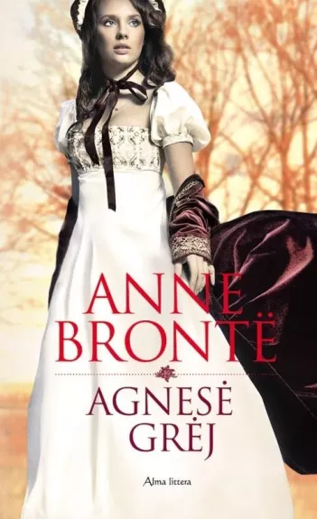 Agnesė Grėj - Anė Brontė, knyga