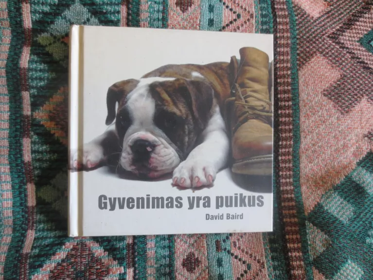 Gyvenimas yra puikus