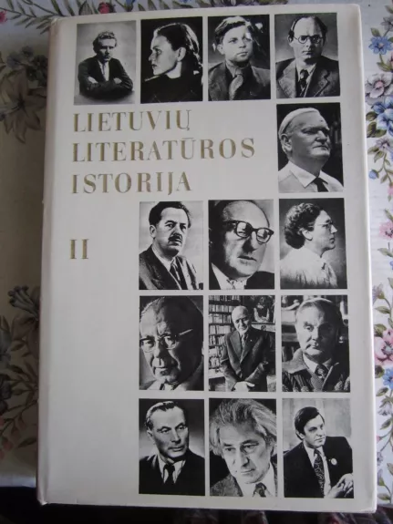 Lietuvių literatūros istorija (II dalis)