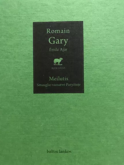 Meilutis: smauglio vienatvė Paryžiuje - Romain Gary, knyga