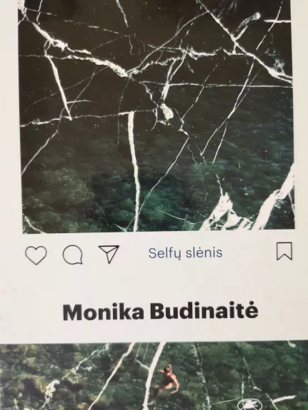 Selfų slėnis - Monika Budinaitė, knyga