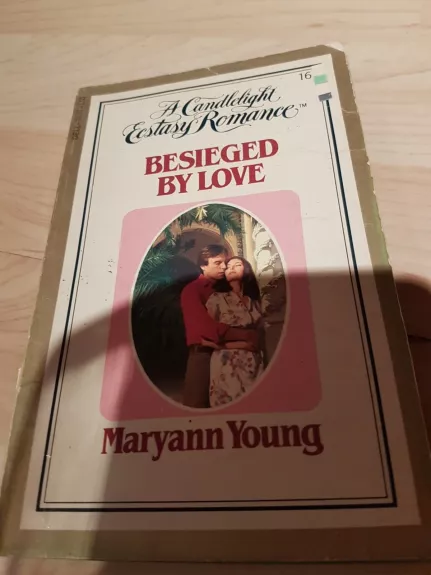 Besieged by Love - Maryann Young, knyga