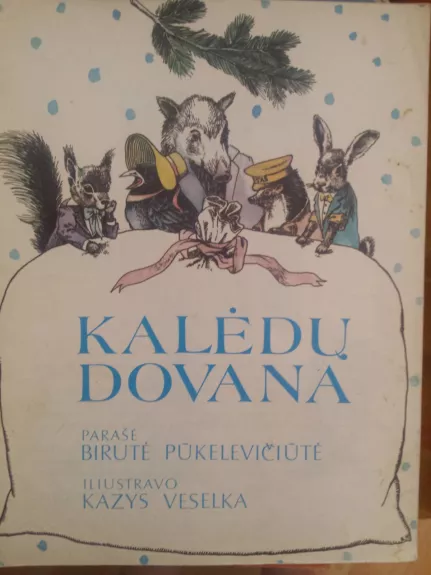 Kalėdų dovana - Birutė Pūkelevičiūtė, knyga