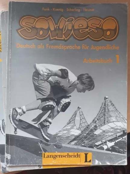 SOWIESO Arbeistbuch - Friederike Jin, Lutz  Rohrmann, knyga