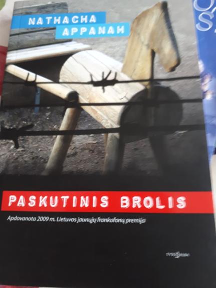 Paskutinis brolis