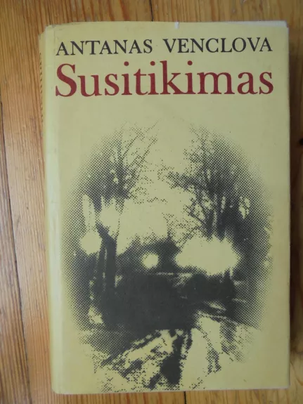 Susitikimas - Antanas Venclova, knyga 1