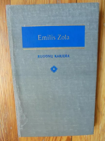 Rugonų karjera - Emilis Zola, knyga 1
