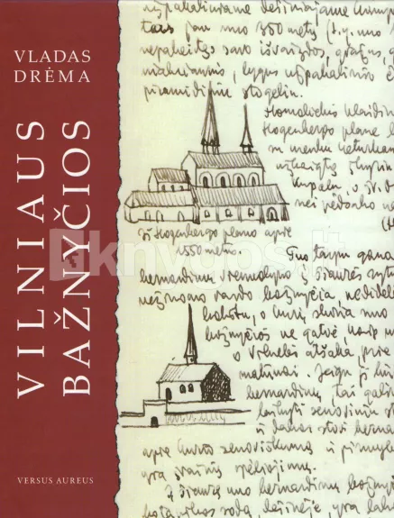 Vilniaus bažnyčios - Vladas Drėma, knyga