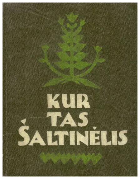 Kur tas šaltinėlis