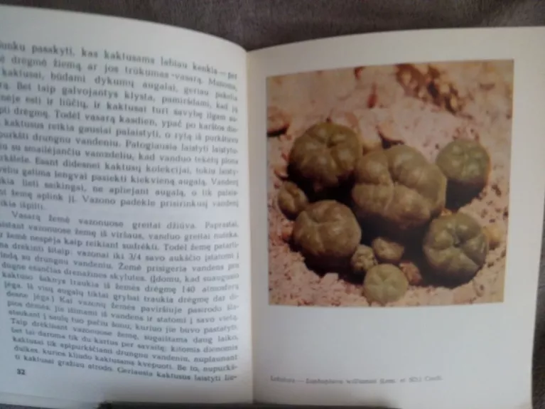Kaktusai mėgėjo kolekcijoje - E. Abramova, knyga 1