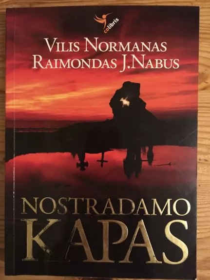 Nostradamo kapas - Vilis Normanas, knyga