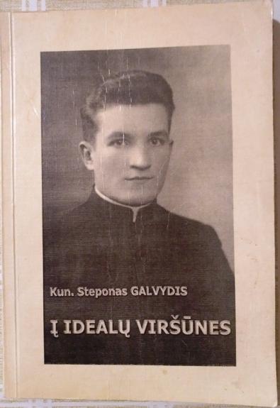 Į idealų viršūnes