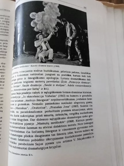 Lietuvių literatūros istorija II - Autorių Kolektyvas, knyga 1