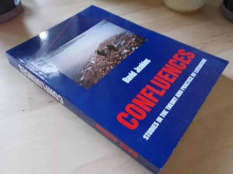 Confluences: studies in the theory and practice of literature - Jenkins David, knyga