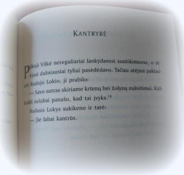 Zen mokytojas varnas : išmintingojo paukščio pamokymai ir darbai - Robert Aitken, knyga 1