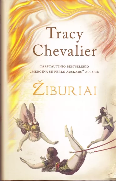 Žiburiai - Tracy Chevalier, knyga