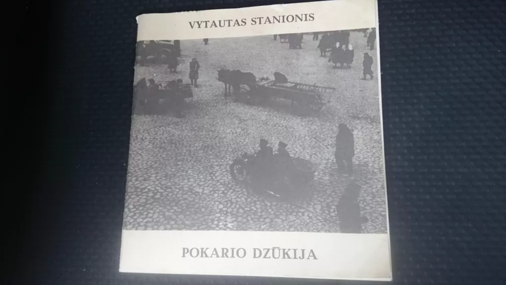 Pokario Dzūkija - Vytautas Stanionis, knyga