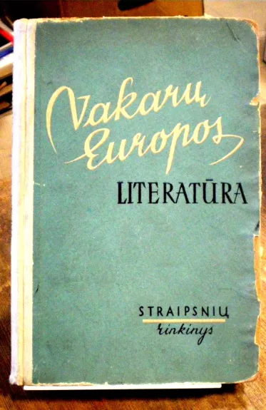 Vakarų Europos literatūra - Galina Baužytė, knyga