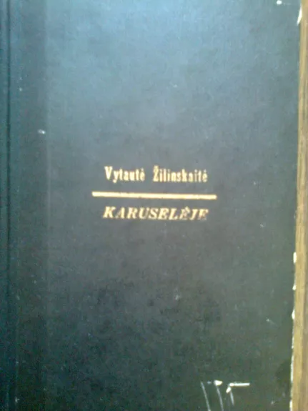 Karuselėje - Vytautė Žilinskaitė, knyga