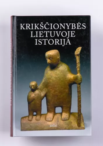 Krikščionybės Lietuvoje istorija - Vytautas Ališauskas, knyga