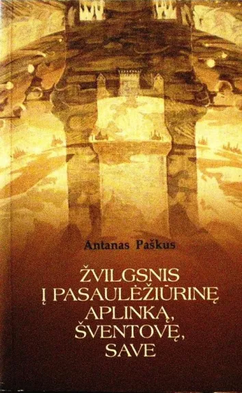 Žvilgsnis į pasaulėžiūrinę aplinką, šventovę, save - Antanas Paškus, knyga