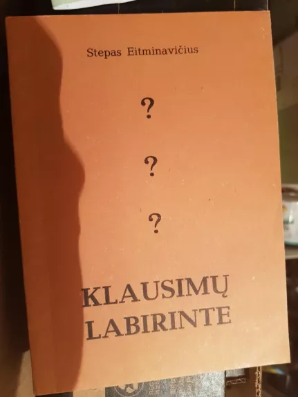Klausimų labirinte - Stepas Eitminavičius, knyga