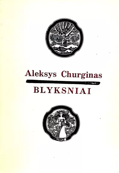 Blyksniai - Aleksys Churginas, knyga
