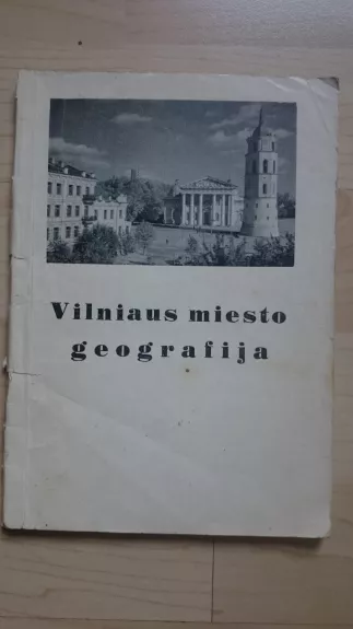 Vilniaus miesto geografija