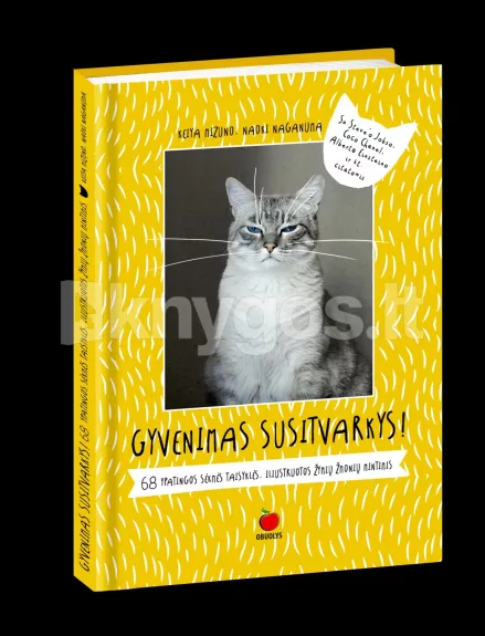 Gyvenimas susitvarkys - Keija Midzuno, knyga