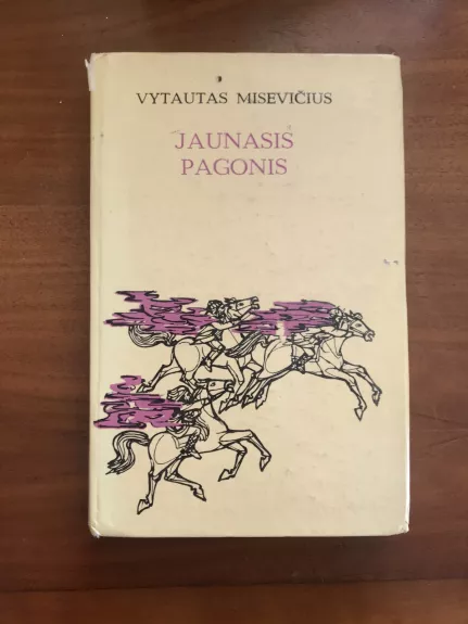 Jaunasis pagonis - Vytautas Misevičius, knyga