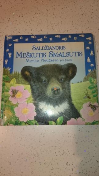 Saldžianoris Meškutis Smalsutis