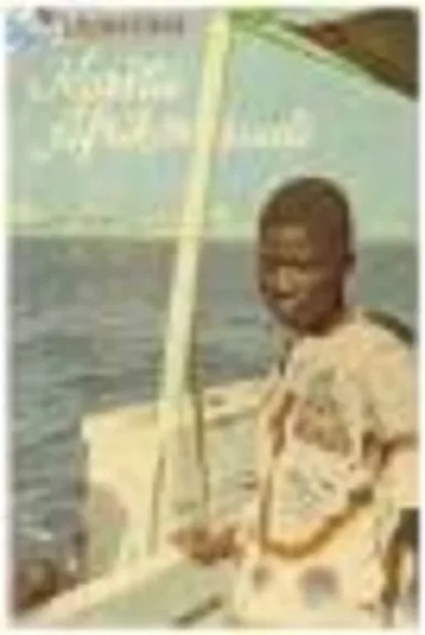 Karšta Afrikos saulė - M. Liubeckis, knyga