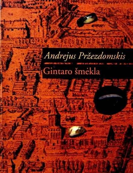 Gintaro šmėkla - Andrejus Pržezdomskis, knyga