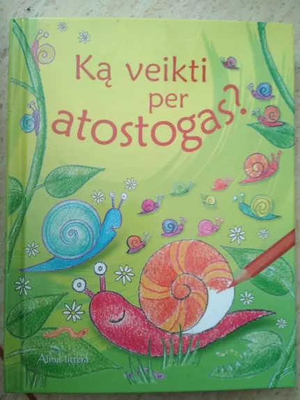 Ką veikti per atostogas? - Ray Gibson, knyga