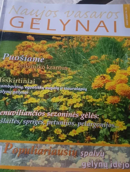 Naujos vasaros gėlynai