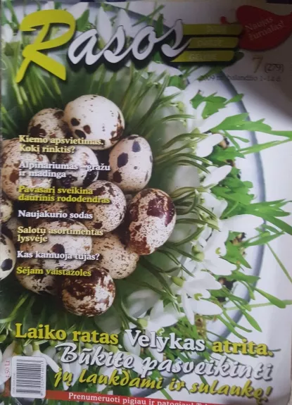 Rasos, 2009 m., Nr. 7