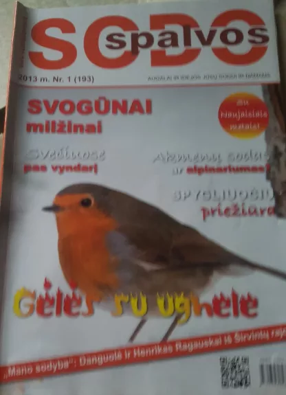 Sodo spalvos, 2013 m., Nr. 1 - Autorių Kolektyvas, knyga